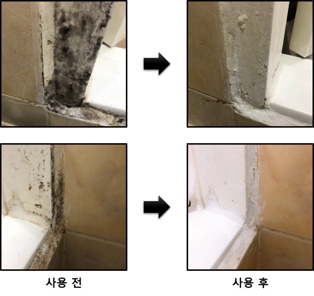 살림백서 곰팡이제거제 후기